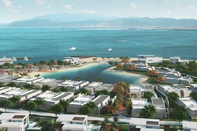 BAY CENTRAL - SOMA BAY