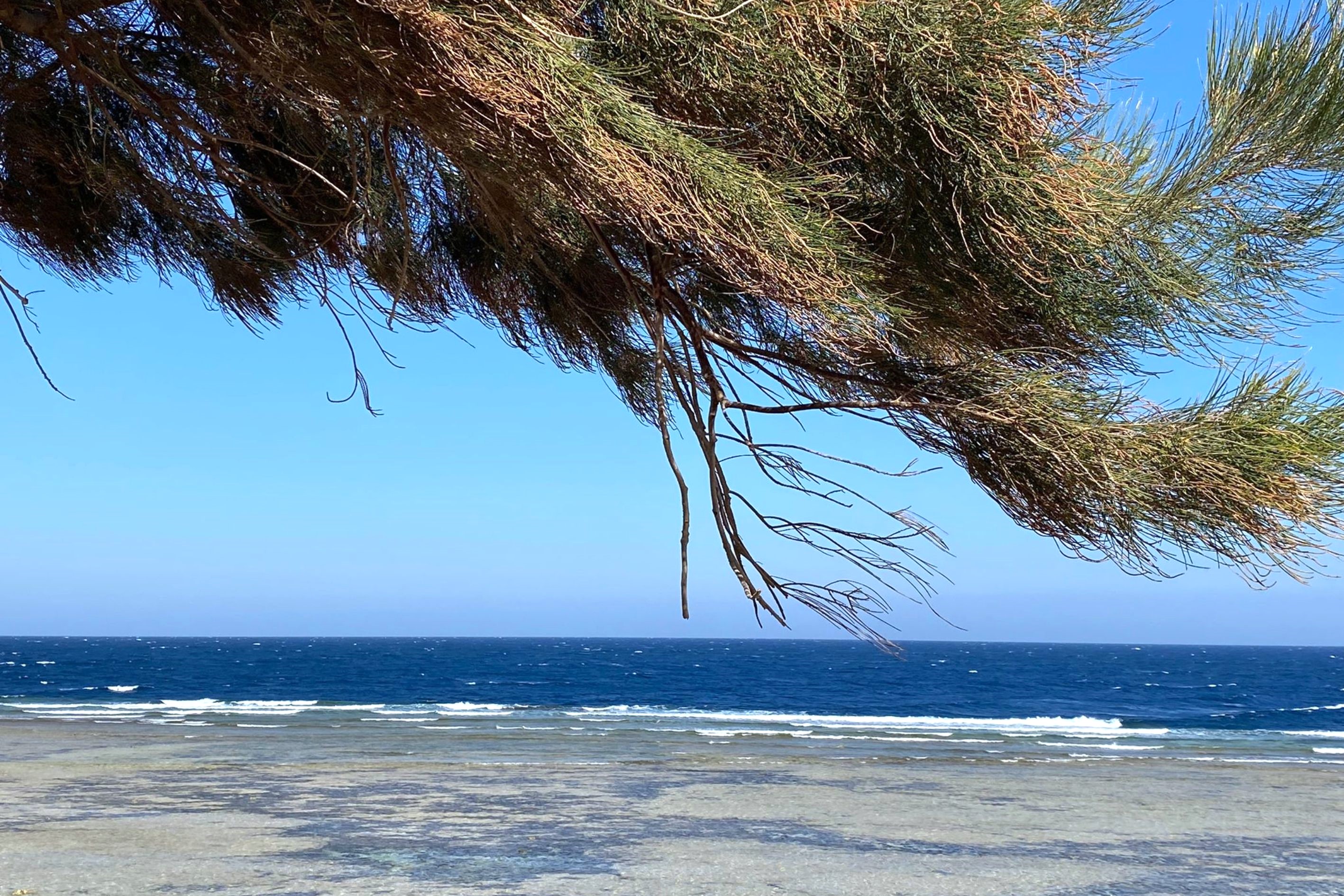 beachfront Soma Bay Best Real Estate Agents Luxury Red Sea Egypt beachfront-soma-bay-best-real-estate-agents-luxury-red-sea-egypt